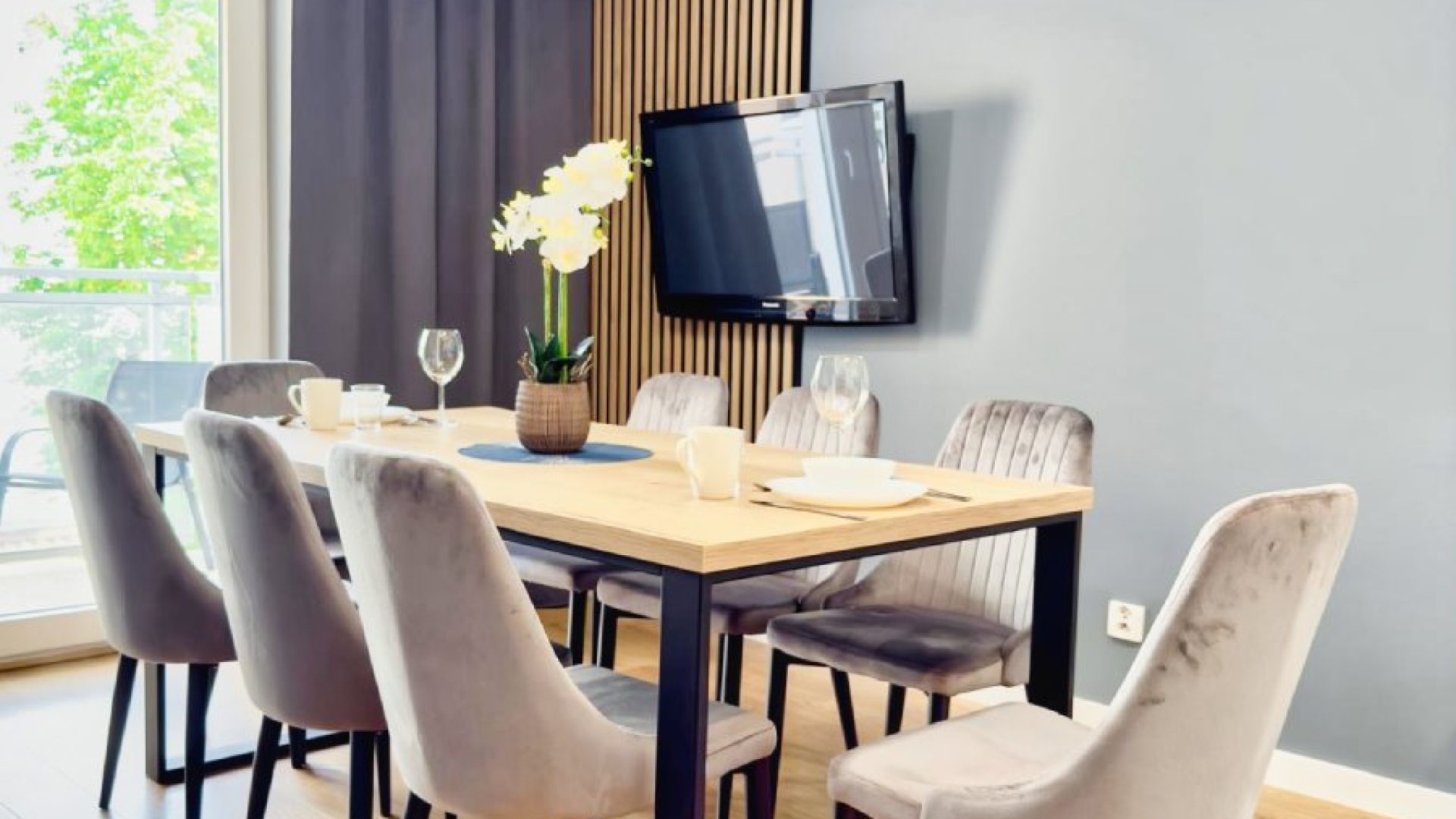Apartament Uniwersytet