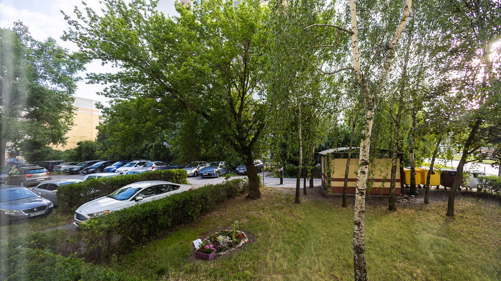 Apartament Verde