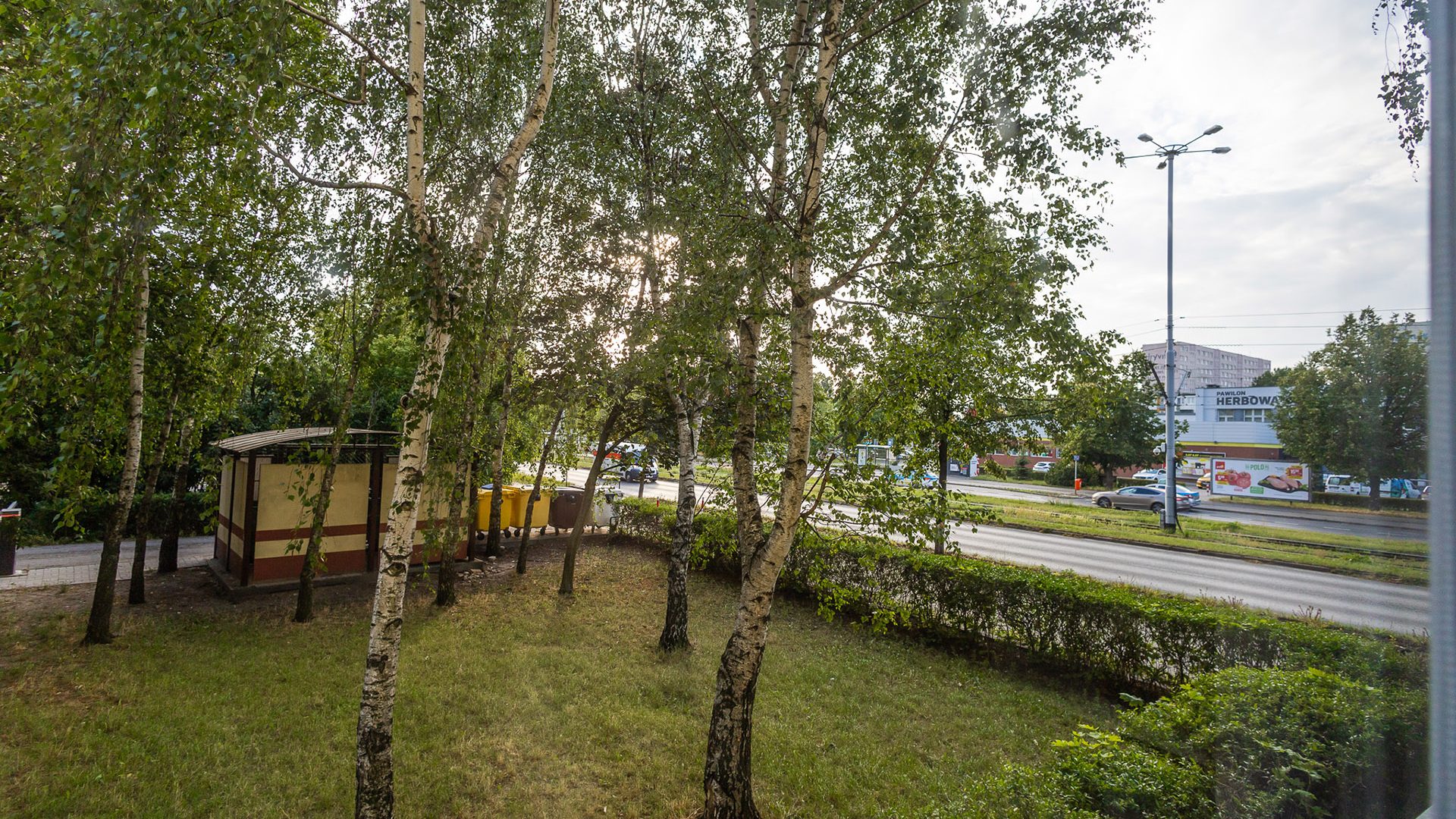 Apartament Verde