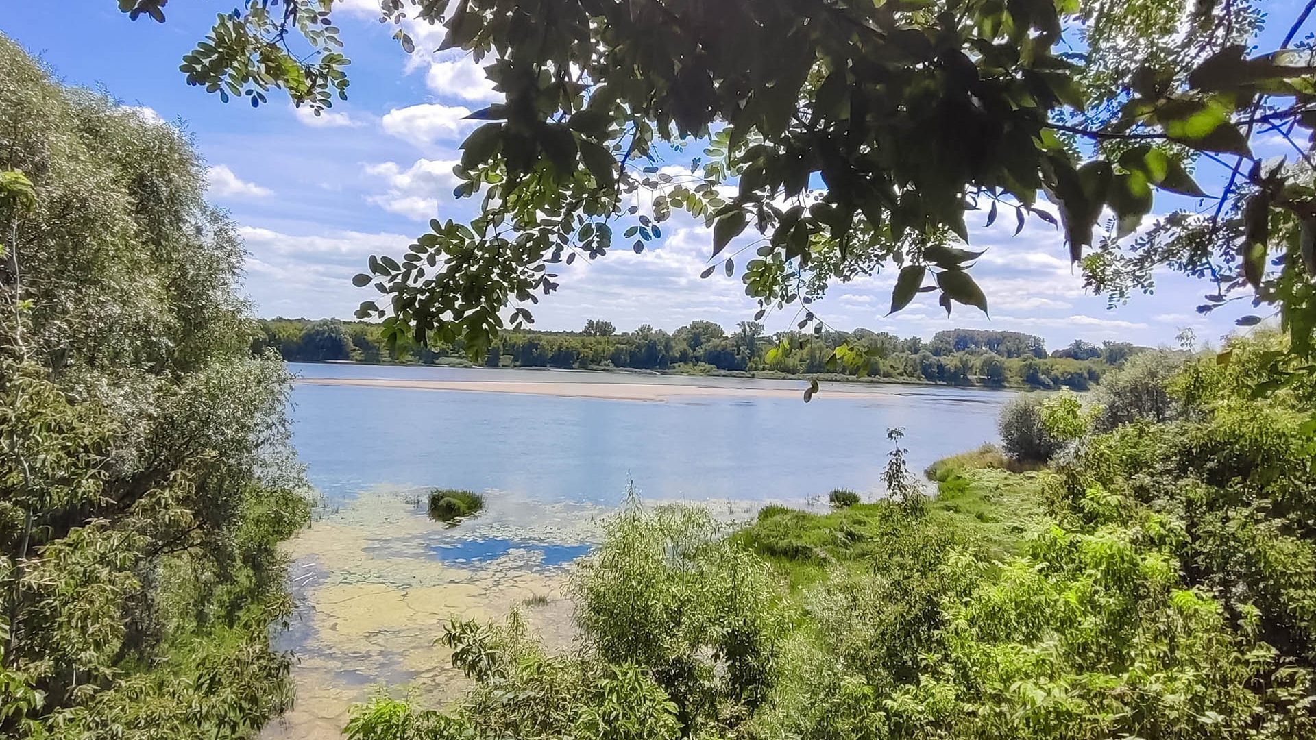 Winnica 34 nad Wisłą 1