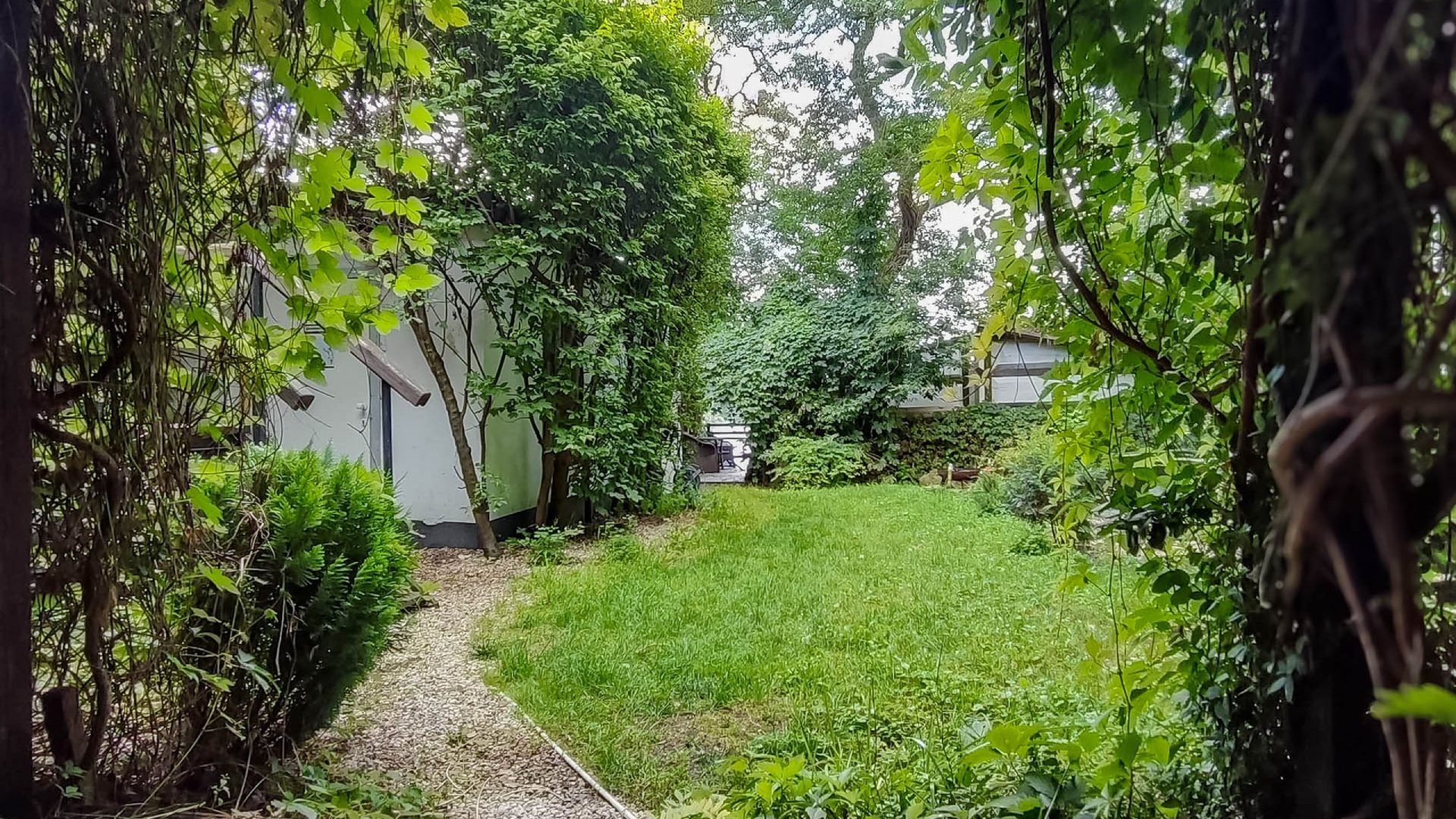 Winnica 34 nad Wisłą 2