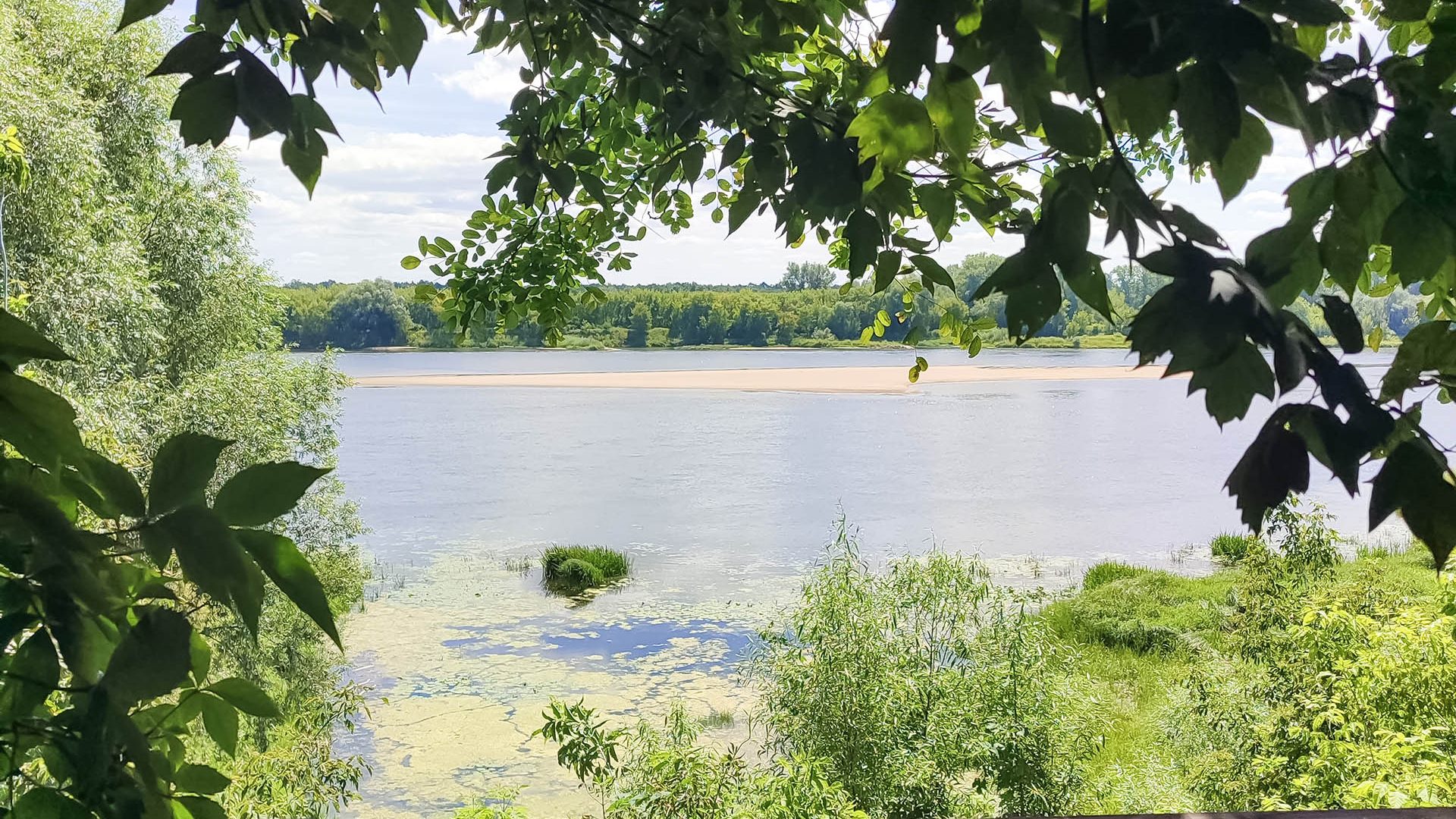 Winnica 34 nad Wisłą 2